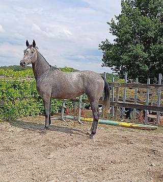 ./4-jarigemerrie./20240614_p1_1720277780.jpg